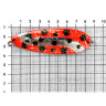 Блесна DAIWA Akiaji Crusader Abalone W35 Salmon Special (35г) Awabi DOT SP 04842991